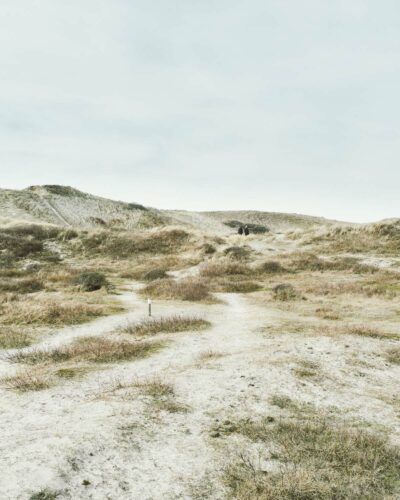 egmond aan zee landschaft dünen sand himmel niederlande urlaub