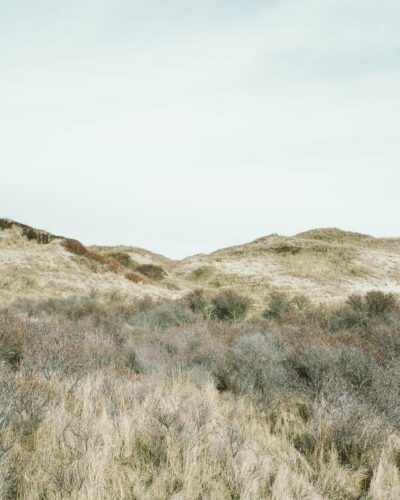 egmond aan zee braun grau grün landschaft dünen sand himmel niederlande urlaub