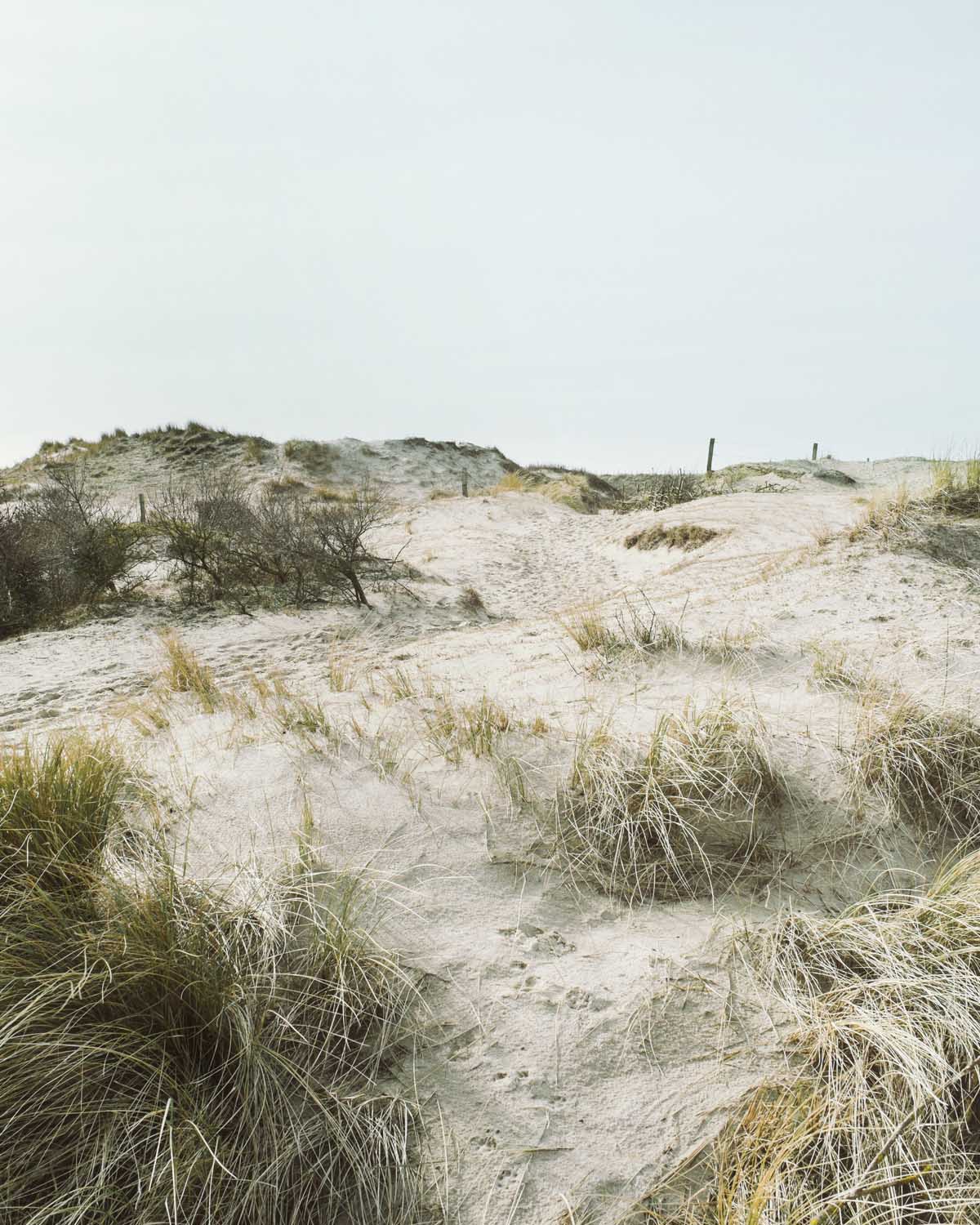 egmond aan zee gras hügel erhebungen landschaft dünen sand himmel niederlande urlaub